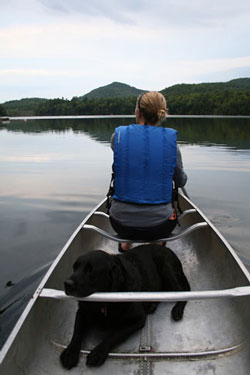 rowing